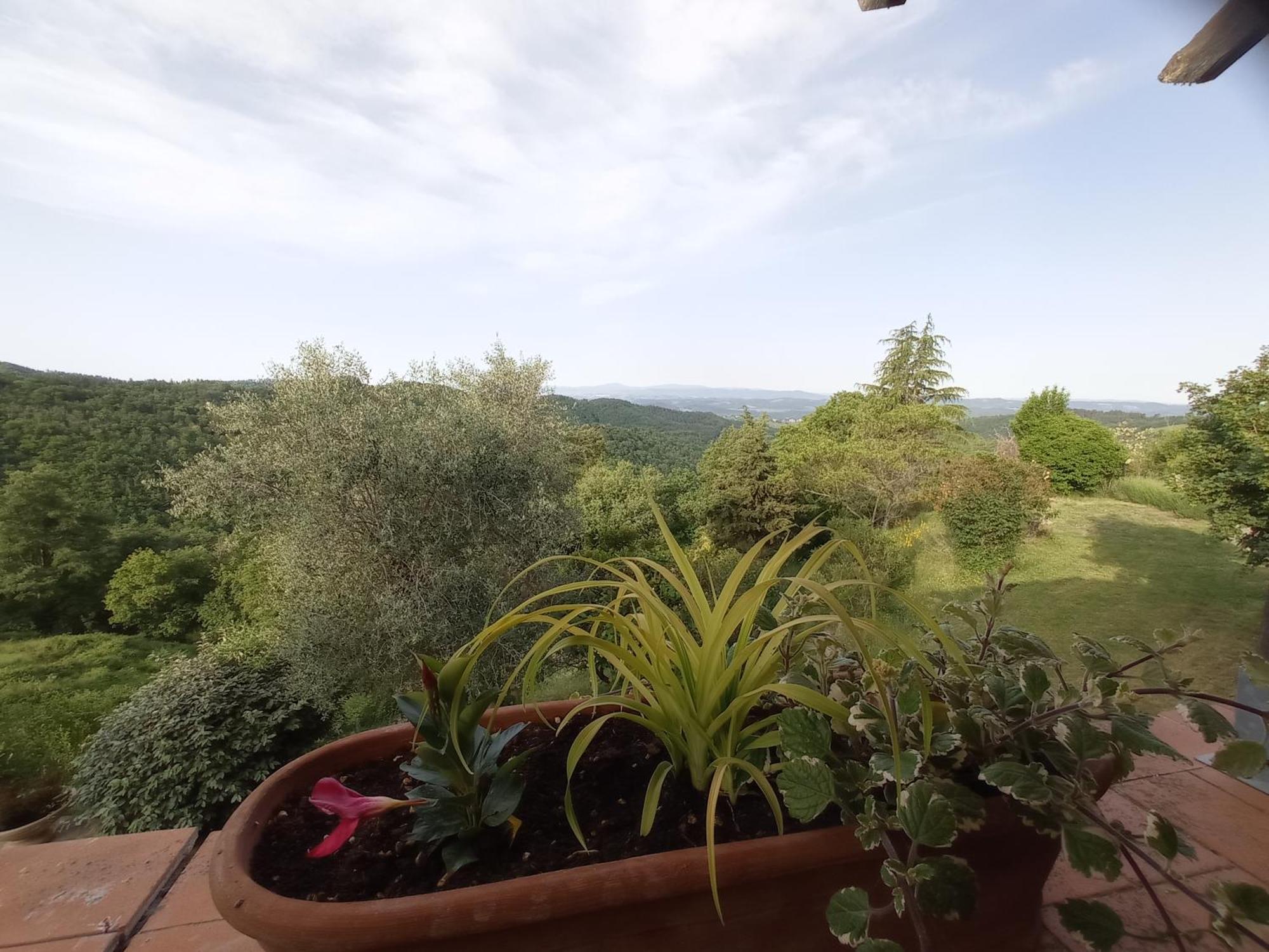 Casa Parigi&Podere L'Aquila Gaiole in Chianti Habitación foto